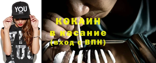 сатива Белокуриха