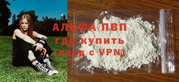 сатива Белокуриха
