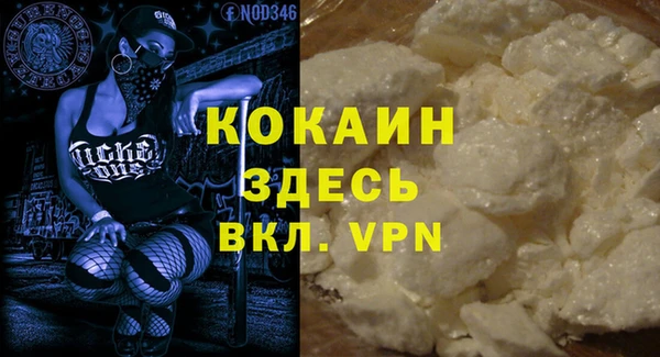 сатива Белокуриха