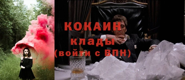 гидра Белоозёрский