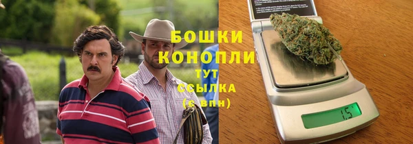 гидра Белоозёрский